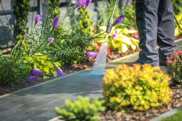 Best Boat and Dock Cleaning  in Peppermill Village, MD
